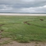 Flint Salt Marshes